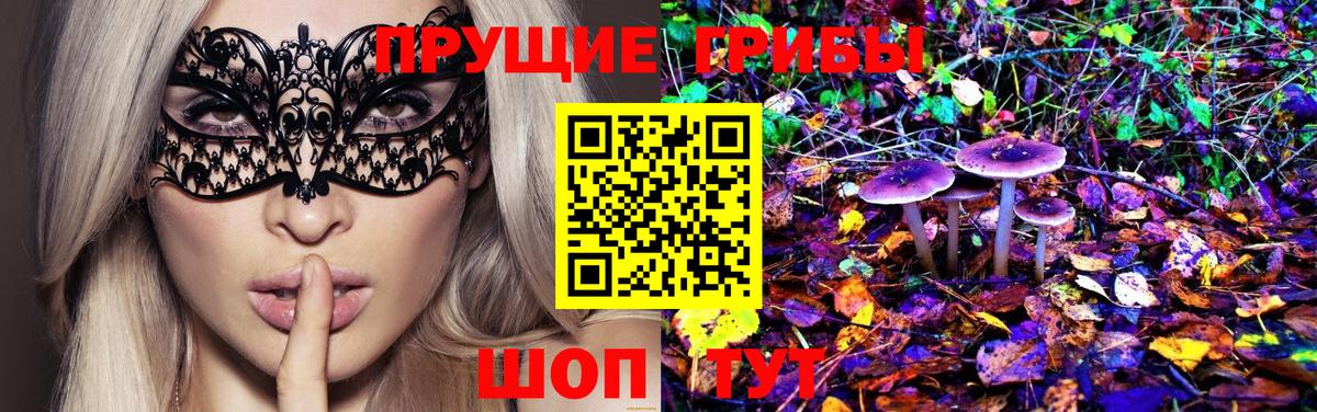 Псилоцибиновые грибы GOLDEN TEACHER Кисловодск